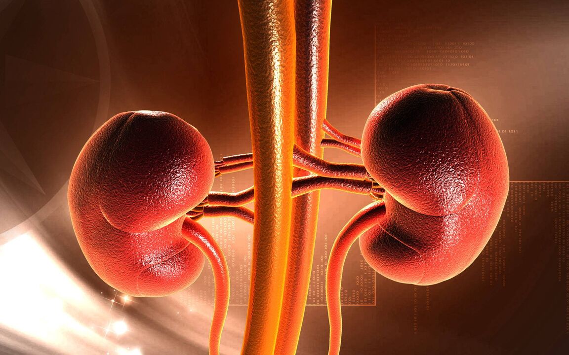 An increase in blood sugar can cause renal failure